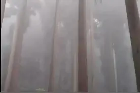 又三人集体自杀！死灰复燃的“约死群”：看着他们寻死，我很快乐图片