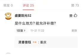 现在哪些省份灵活就业人员可以补交以前年度养老保险？图片