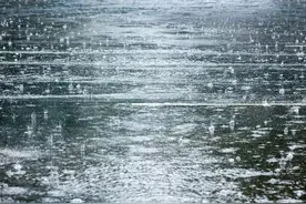 注意！沈阳明天暴雨，局部大暴雨！城区主要降水时段为……图片