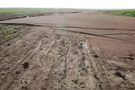 日本又要搞事？高价在我国山东租地1500亩，闲置5年不用有何阴谋图片