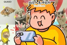 杀我别用小猫刀！香蕉猫是怎么“血洗”B站的？图片