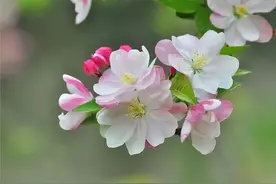 躺在病床上才明白：病床前伴侣的态度，才是这段婚姻真实的温度图片