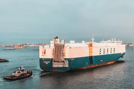 如何快速查询海关编码？一招搞定图片