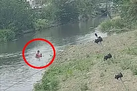 小伙跳河救回落水母女！获救后她们竟发现……图片