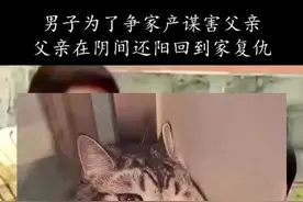 姚厂长的阴谋图片