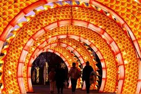 春节假期尾声 南阳月季大观园里年味浓图片