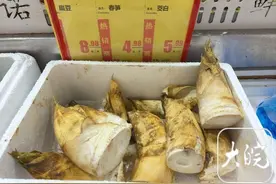 春光正好，吃笋挖笋都有热度！资深户外人士提醒：要文明挖笋图片