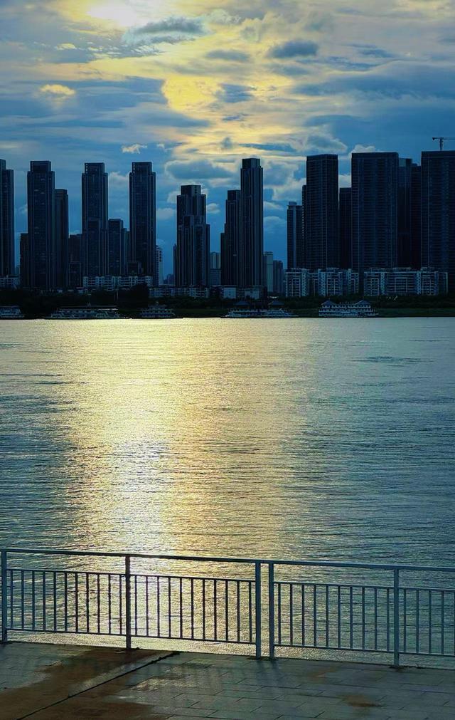 “孤独的树”不孤独了，向日葵花海引全国游客来打卡
