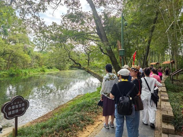 铁腚大巴游老年团:出门就像打鸡血