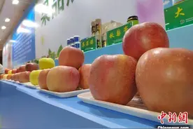 （乡村行·看振兴）江苏丰县“以果为媒、文旅融合”为乡村振兴注入“甜蜜力量”图片