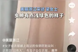 头皮发麻！收衣服时多看了两眼，发现衣服上沾有数十粒虫卵图片