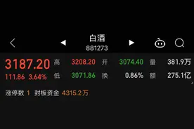 房地产预期回暖，春节动销稍优于预期，白酒股逆市反弹图片