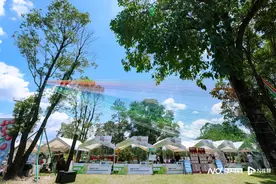 上百个特色摊位等你来，东莞大朗第三届佳果游园荟启幕图片