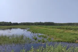 黄河记忆：从“东昏”到“东明”图片