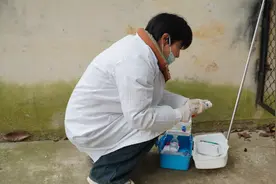 帮东北虎修指甲，给梅花鹿接生！她这份工作很“生猛”！图片