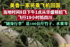 美香一家将乘飞机回国，当地时间8日下午1点从华盛顿起飞，飞行19小时抵四川。它们的“随身行李”是100公斤竹子、水果等。图片