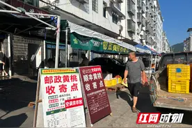 红网调查丨炎陵黄桃想要低价“飞”全国，难题如何破解图片