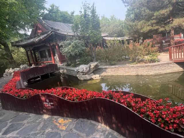 五月限定！西城花事正盛，赴一场初夏浪漫之约