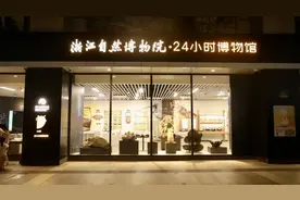 “24小时博物馆”可复制吗图片