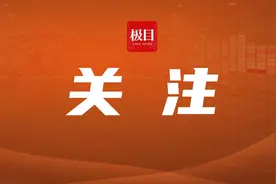 大数据自动预警串通投标，扩大“暗标盲评”范围，湖北加强招标投标市场管理图片