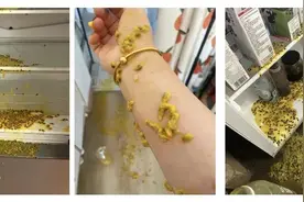 注意！这些东西放冰箱，可能变“炸弹”图片