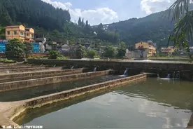 桐梓：家庭农场“细胞工程”激活乡村振兴新功能图片