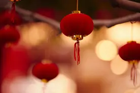 谭爷爷携“顶流”花花C位出场！龙年春晚名场面都在这里了！图片