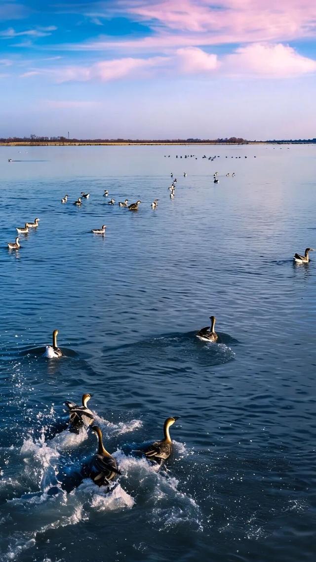 用N种姿势，打开榆林的清明假期
