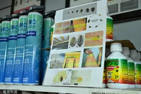 巴黎臭虫恐慌：臭虫如何与羞耻相连图片