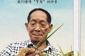 云新闻关注｜秧苗青青处，这片土地很想您！图片