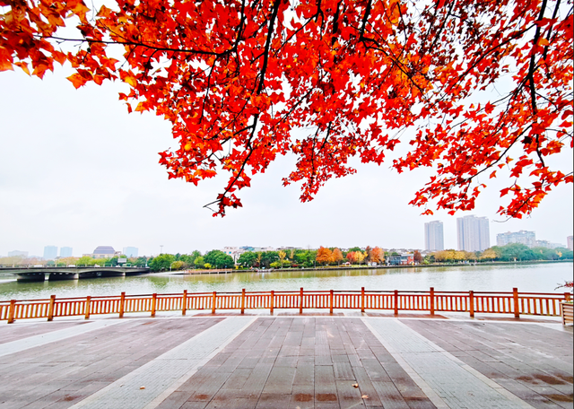 “反季节浪漫”！永康冬季限定版“城市漫游地图”上线