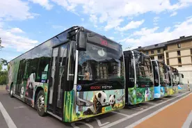 北京熊猫主题公交车上线 快乘坐它畅游动物园！图片