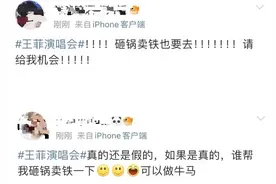 王菲将开演唱会？图片