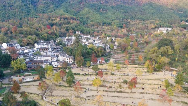 【早安，黄山】丁纯督导检查第十五届安徽国际文化旅游节筹备工作 ‖ 我市规上科技服务业企业营收增幅居全省首位