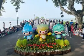 有朋自远方来，不亦乐乎——丹桂飘香迎客到图片