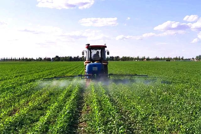 专门给草做天气预报？网友：不愧是内蒙古