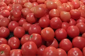 ​番茄涨至近8元一斤！高温致蔬菜减产，价格何时回落？图片