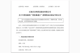 以岭药业中药1.1类创新药芪防鼻通片获批上市，持续加码创新中药研发图片