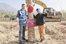 十棵非洲“生命之树”来厦扎根图片