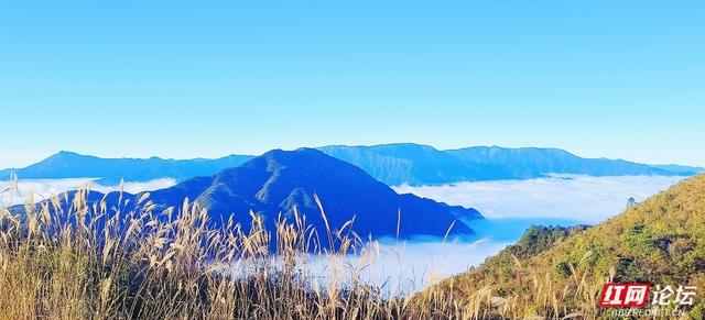 【每日一图@湖南】月夜风车与霞光云海同框？初冬的桂东万洋山做到了