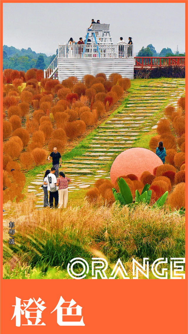 收藏这套双流秋天专属色卡，跟着拍，出片率100%