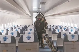 于无声处拆“惊雷”图片