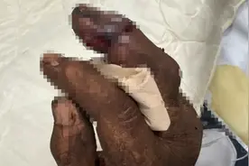 发现蛇出没，请立即远离！图片