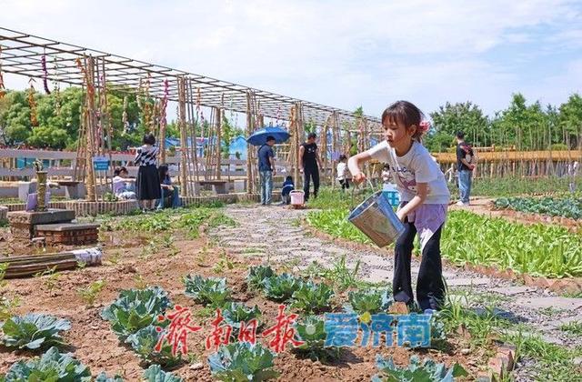 热度拉满！齐鲁童乡成济南亲子出游新晋热门打卡地