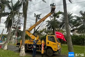 发挥党员模范带头作用 海口电力抢修正“加速度”图片