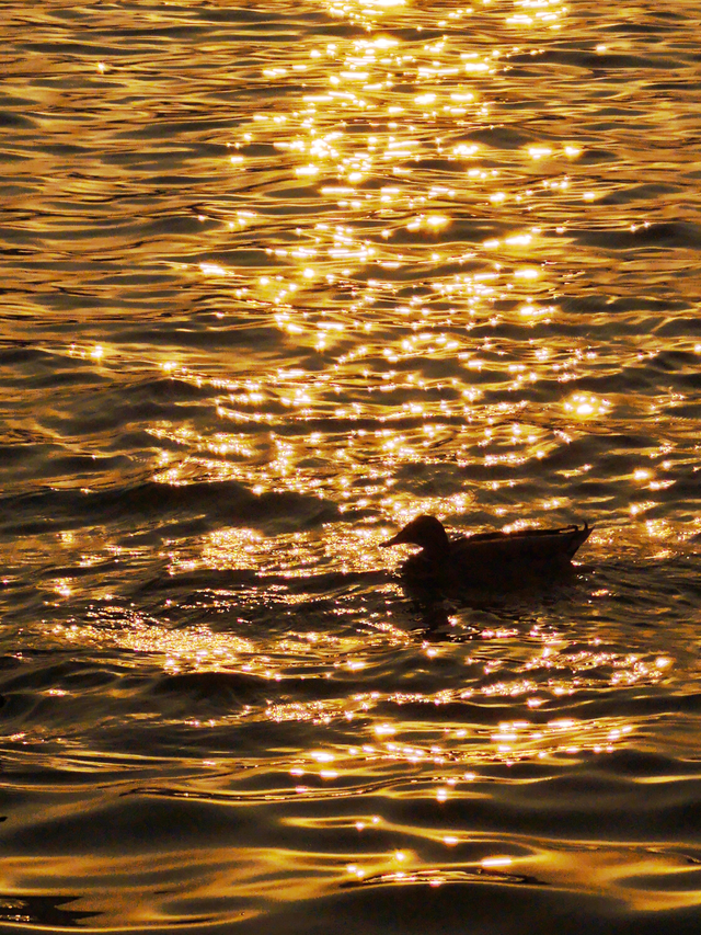 三月的最后一天，绮丽日落温柔收尾