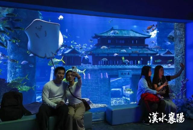 假期实况！此时此刻，襄阳