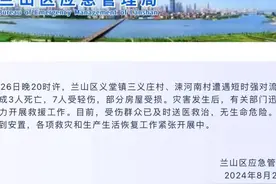 山东临沂两村遭遇短时强对流极端天气，致3死7伤图片