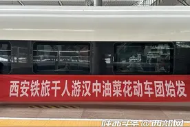 开往花海的专列！西安开行2024年首趟油菜花旅游动车图片