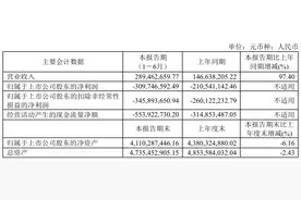 云天励飞盈利难题待解：上半年靠收购实现营收翻倍 资金“捉襟见肘”是否有能力履行AI算力合同受关注图片